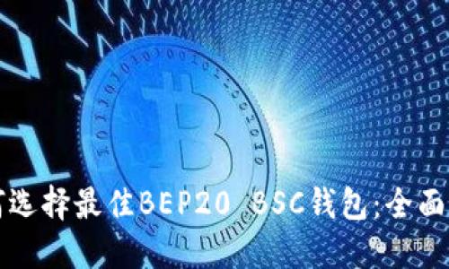 如何选择最佳BEP20 BSC钱包：全面指南