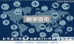如何在TP钱包中切换到BS