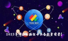 2023年哪些区块链币具备投