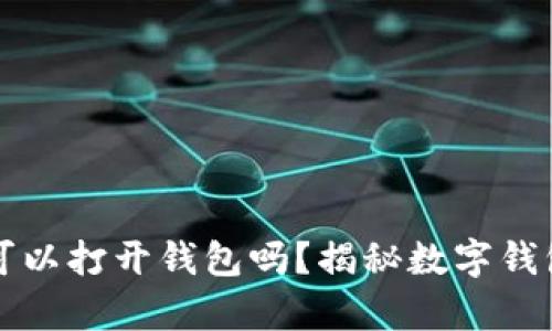只有助记词可以打开钱包吗？揭秘数字钱包的安全机制