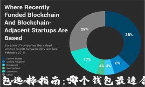 
加密货币钱包选择指南：哪个钱包最适合你的需求？