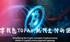 揭秘数字钱包TOPAY：现代支