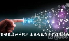 全面解读虚拟币FLM：未来的数字资产投资风向标