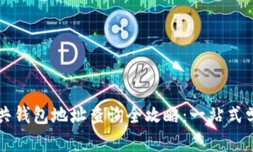 区块链公共钱包地址查询全攻略：一站式学习与实践