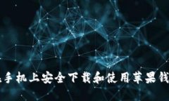 如何在手机上安全下载和