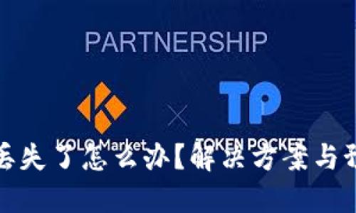 TP钱包丢失了怎么办？解决方案与预防技巧
