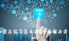 以太坊钱包加密忘记了怎么办？全面解决方案与