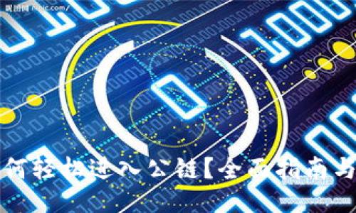 概述

TP钱包如何轻松进入公链？全面指南与技巧分享